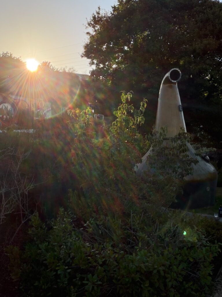 An old copper pot still standing among shrubs in late-evening sun